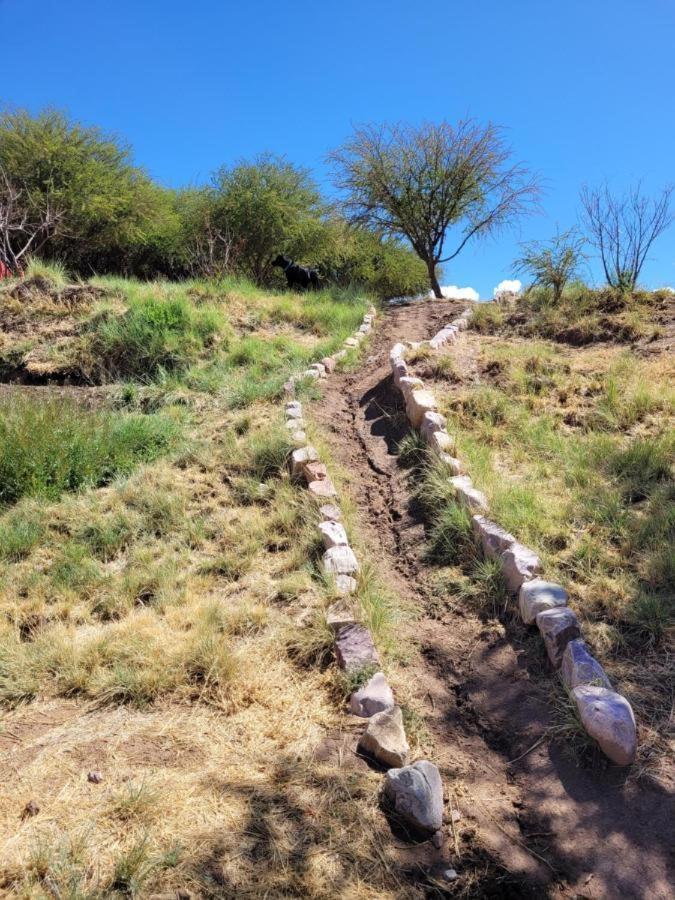 Kurmi Humahuaca
